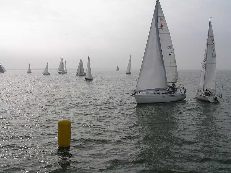Ze kwamen allemaal de lijn over.